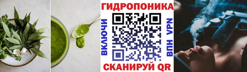купить  цена  нарко площадка формула  Canna-Cookies конопля  Облучье 