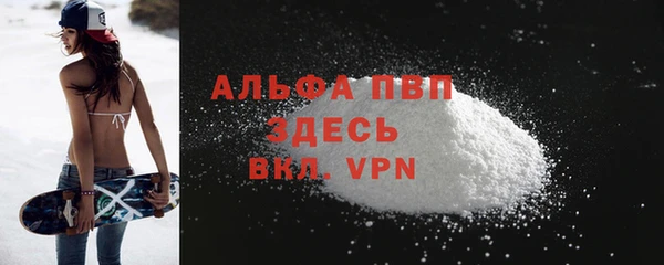 ECSTASY Гусь-Хрустальный