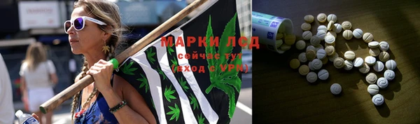 СК Дмитров