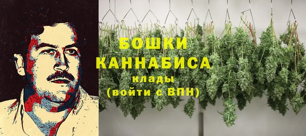 ECSTASY Гусь-Хрустальный