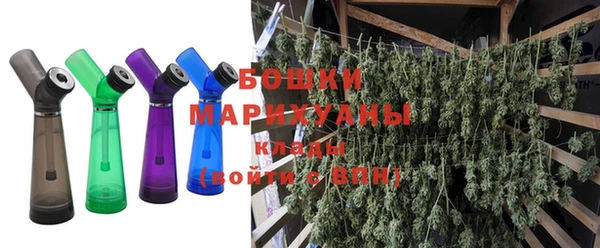 гашик Дмитриев