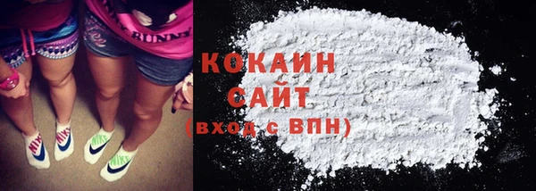 ECSTASY Гусь-Хрустальный