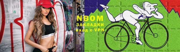 гашик Дмитриев